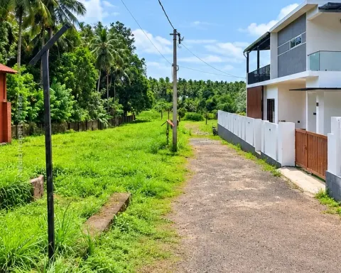 Residential Plots for Sale in Kaiparambu Centre, Thrissur - Residential for Sale in Kaiparamba, Thrissur