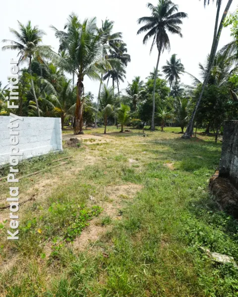 5 Bedroom House on 1.5 Acres of Land  Spacious Kerala Property for Sale - Residential for Sale in Kumarakom, Kottayam
