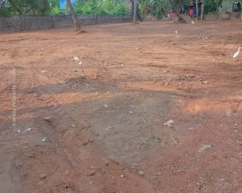 Residential plots for sale near kerala varma college, Kanattukara, Thrissur - Residential for Sale in Kanattukara, Thrissur