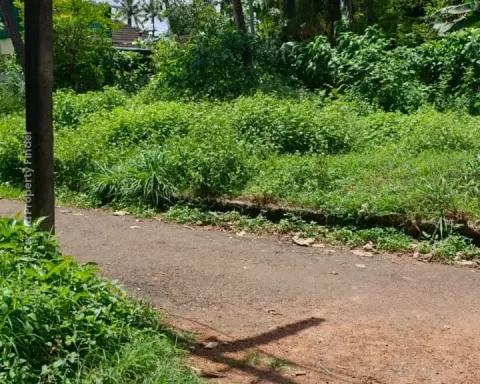 Prime Residential Plot for Sale in Chelakkottukkara, Thrissur - Residential for Sale in Chelakkottukkara, Thrissur