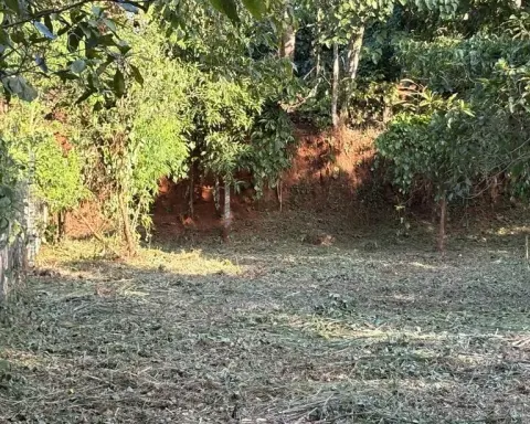 Residential land-10 cent for sale in Velappaya, Main road, Thrissur - Residential for Sale in Velappaya, Thrissur