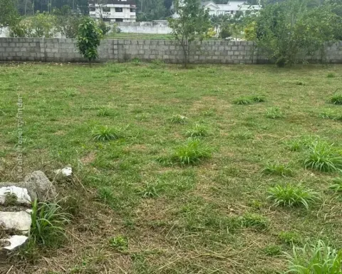 Residential Land  10 ,11 cents  for sale in Kechery Center, Thrissur - Residential for Sale in Kecheri, Thrissur