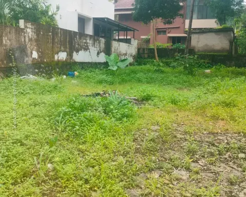 10-Cent Residential Plot for Sale Near Kerala Varma College, Thrissur - Residential for Sale in Kanattukara, Thrissur