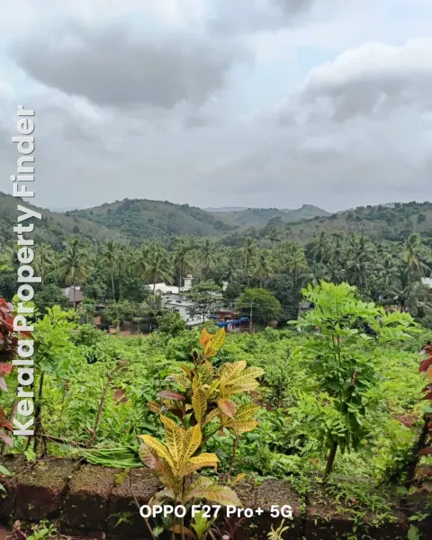 Land suitable for Resort / Retreat centres - Agricultural for Sale in karikottakary, Kannur