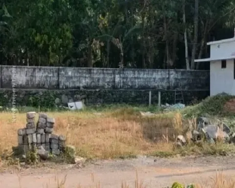 Residential land  5.25 cent for sale in mundur, Thrissur - Residential for Sale in Mundur, Thrissur