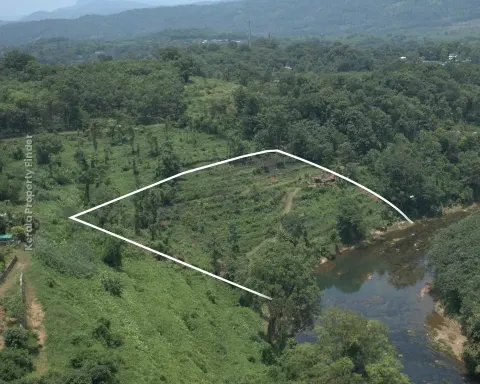 256 Cent Riverfront Rubber & Pepper Plantation for Sale  Koratty, Erumeli - Agricultural for Sale in Kanjirapally, Kottayam