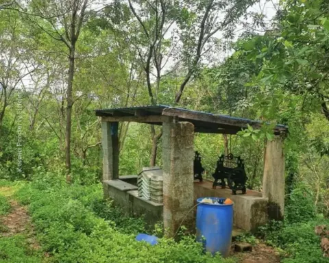 6.5 acres rubber plantation in Peravoor - Agricultural for Sale in Peravoor, Kannur