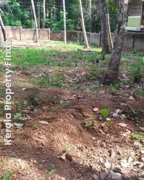 Residential plot in Thirumala, Thiruvananthapuram - Residential for Sale in Trivandrum, Thiruvananthapuram