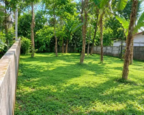10 Cent East-Facing Land for Sale  Olari , Thrissur - Residential for Sale in Thrissur, Thrissur