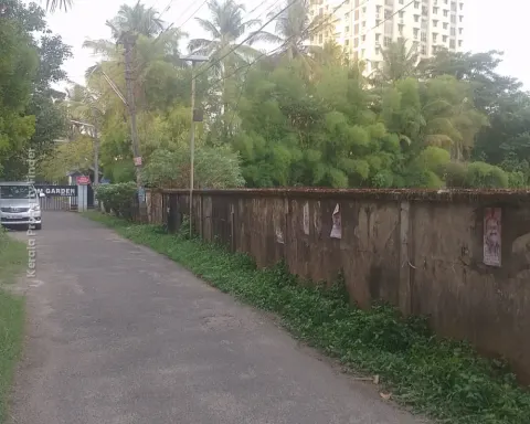 Premium Residential Land for Sale in Ollur, Thrissur - Residential for Sale in Ollur, Thrissur