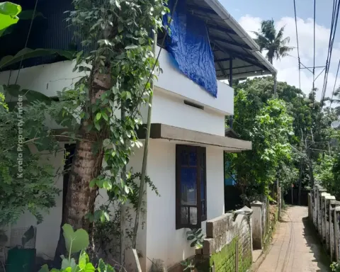2 BHK Independent House for Urgent Sale in Aluva - Residential for Sale in Aluva, Ernakulam