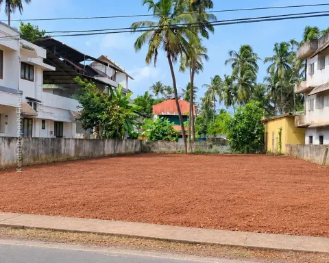 Commercial Plot for Sale  Kizhakkekotta, Thrissur - Commercial for Sale in Kizhakkekkotta, Thrissur