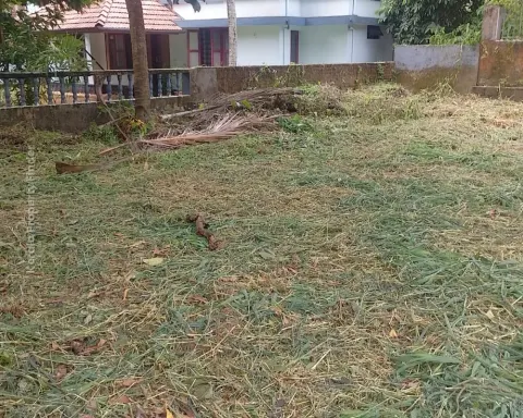 Commercial Land for Sale in West Fort, Near Kerala Varma College, Thrissur - Commercial for Sale in West Fort, Thrissur