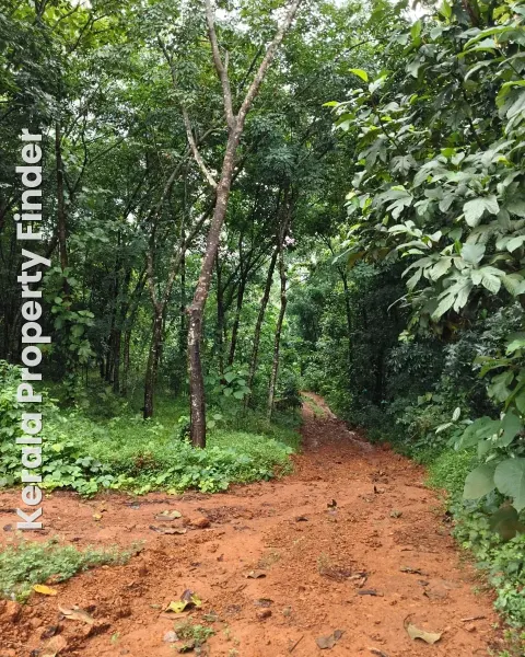 30 Cents Plot for Sale in Iritty - Residential for Sale in Iritty, Kannur