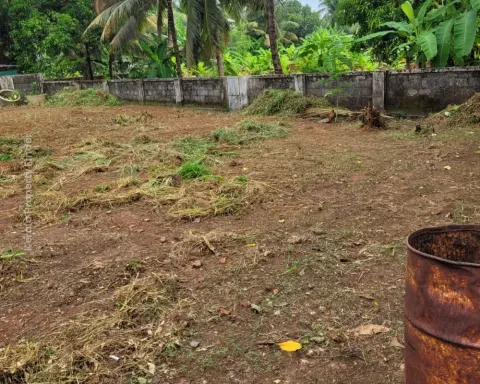 Residential Land-12 cents For sale in Cheroor- Kuttumukku Road, Thrissur - Residential for Sale in kuttumukku, Thrissur